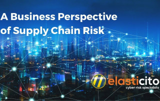 A Business Perspective of Supply Chain Risk