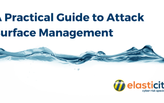 A Practical Guide to Attack Surface Management